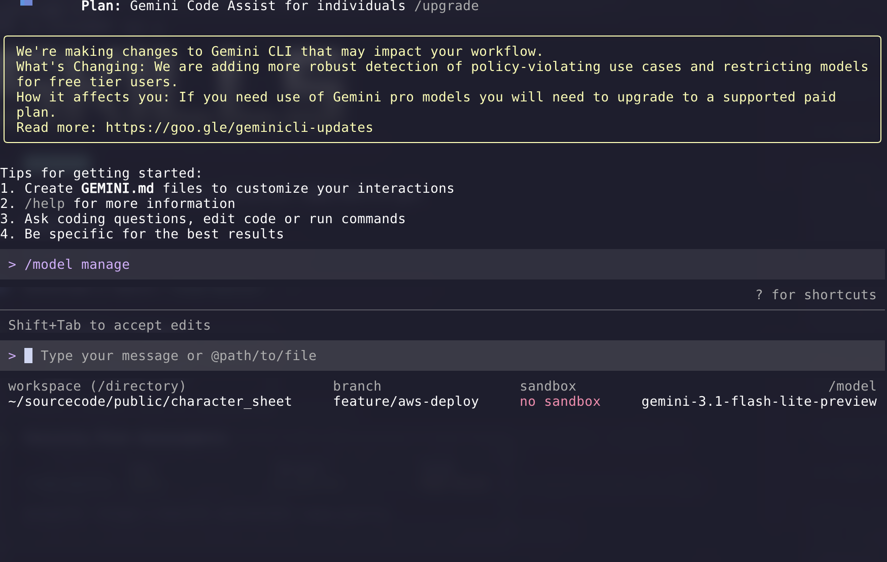gemini_cli_example